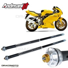 DUCATI SS 1000 2003-2006 cartuccia ANDREANI 105/D43E MISANO EVO