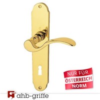 Hoppe TüRgriff MüNchen Langschild Messing Poliert BB Ö-Norm TüRdrüCker TüRklinke
