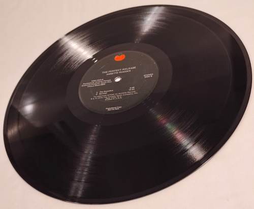 Annette Peacock Die perfekte Veröffentlichung Vinyl LP 1979 Promo Kopie TOM-7044 Electronic - Bild 13 von 15