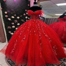 Red Tulle Quinceanera Dresses Ball Gown Flower Appliques Birthday Party Sweet 16