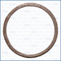 Ajusa Dichtung Abgasrohr 01571400 FüR VW Polo 4 9A4 9A2 9N2 9A6 3 Classic 6V2 A4