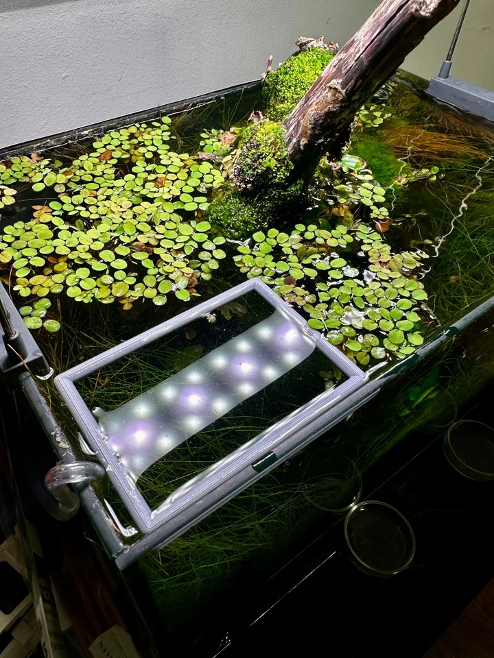 Schwimmender Aquarienring in Rechteckform | Pflanzen- & Futterring fürs Aquarium - Bild 2 von 4