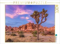 Calvendo Puzzle Joshua Tree In The Evening Light | 1000 Pieces, Finished Size 25