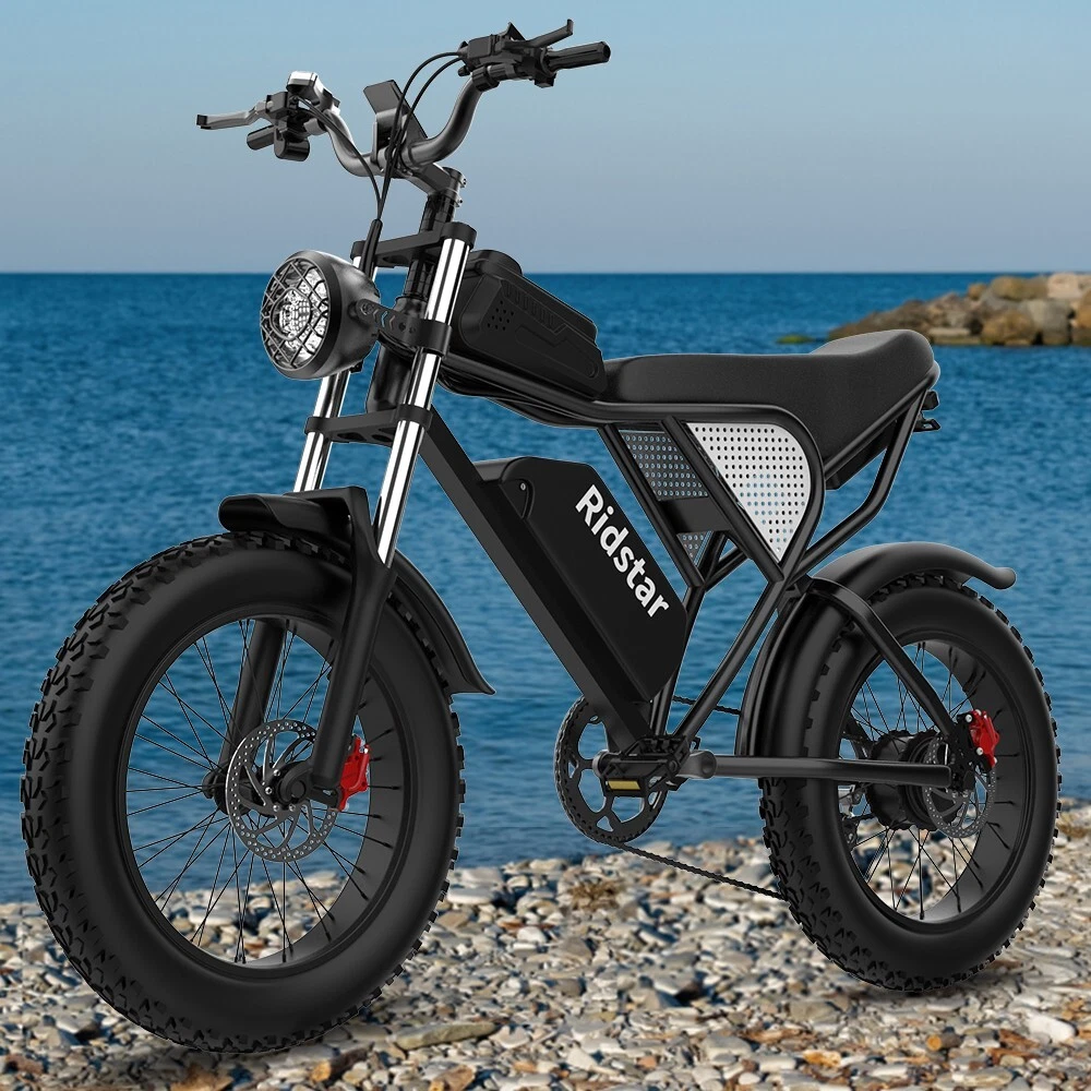Mountain fat tire electric bike 1000w sale