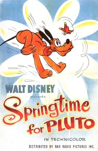 RARE 1944 DISNEY PRODUCTION "SPRINGTIME FOR PLUTO" ANIMATION ART DRAWING COA - Picture 5 of 5