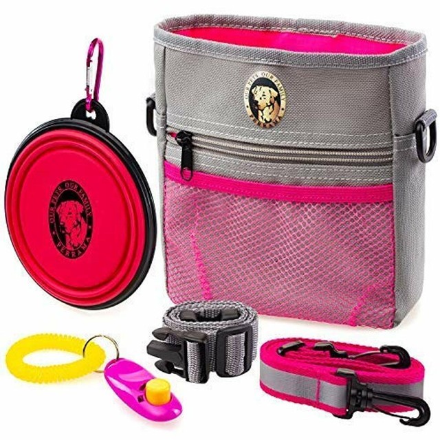 small dog treat pouch