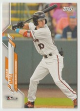 2020 Topps Pro Debut #PD-186 Adam Hall Baseball Card Delmarva Shorebirds