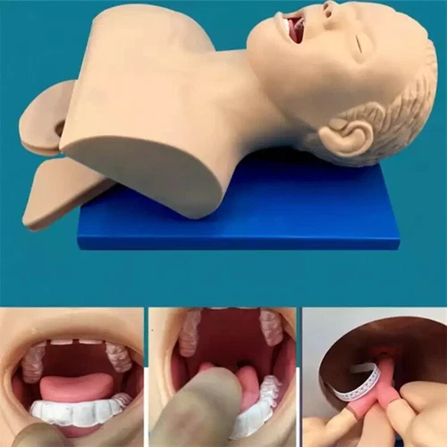 Maniquí de Intubación Estudio Enseñanza Modelo Entrenador de Gestión de Vías Aéreas PVC Dientes NUEVO- - Imagen 4 de 6