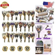 24 Count Mini Dried Flower Bouquets - Boho Vase Filler, Reed Hydrangea