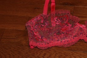 BNWT Dita Von Teese Evelina Underwire Bra MSRP 85!!!
