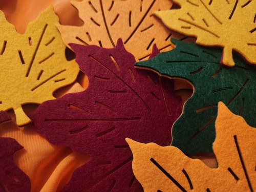 Fieltro Doble Cara Otoño Colores Hojas Decoración Posavasos Artesanía 22 Piezas Total - Imagen 7 de 13
