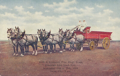 Unmailed Smith & Co draft team Stock Fair Sioux City Iowa IA early  #107