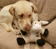 GoDog Checkers Large Donkey Chew Guard Squeaker Plush Dog Toy 770964