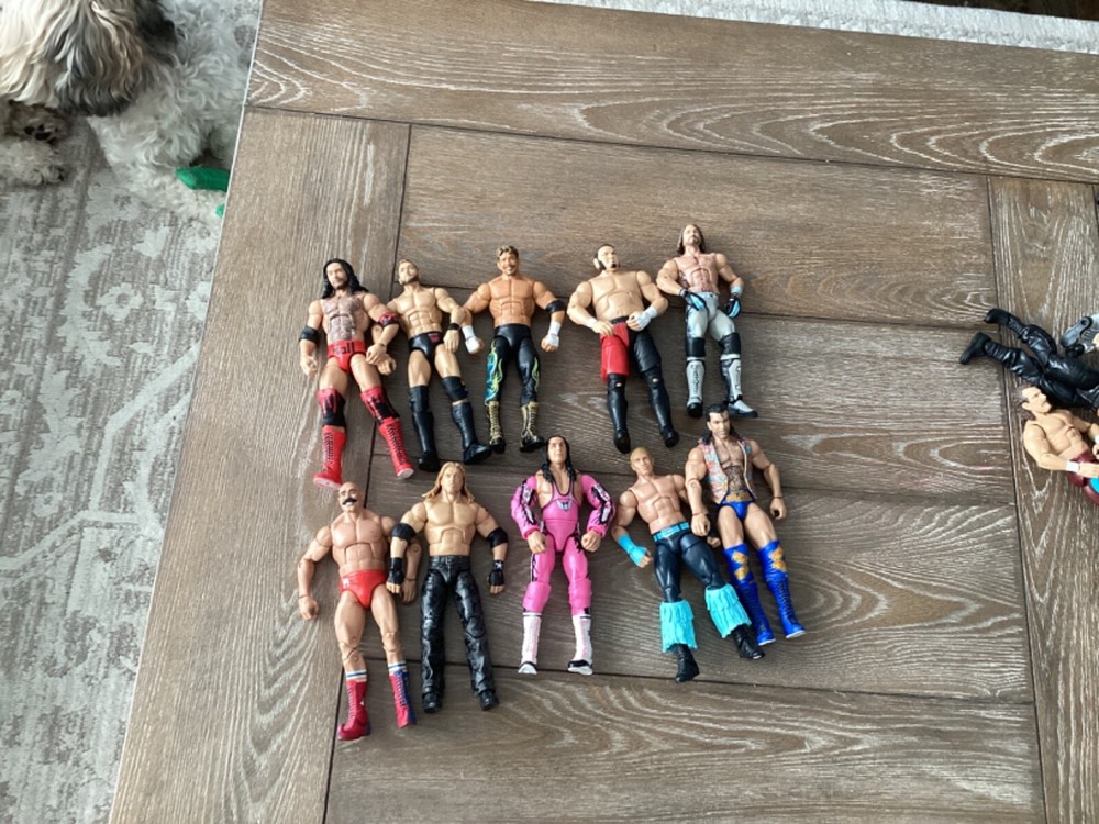wrestling action figures
