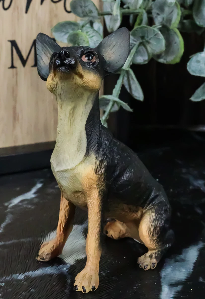 Deer head chihuahua black and tan sales