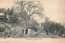 55 VAUCOULEURS LE GROS TILLEUL