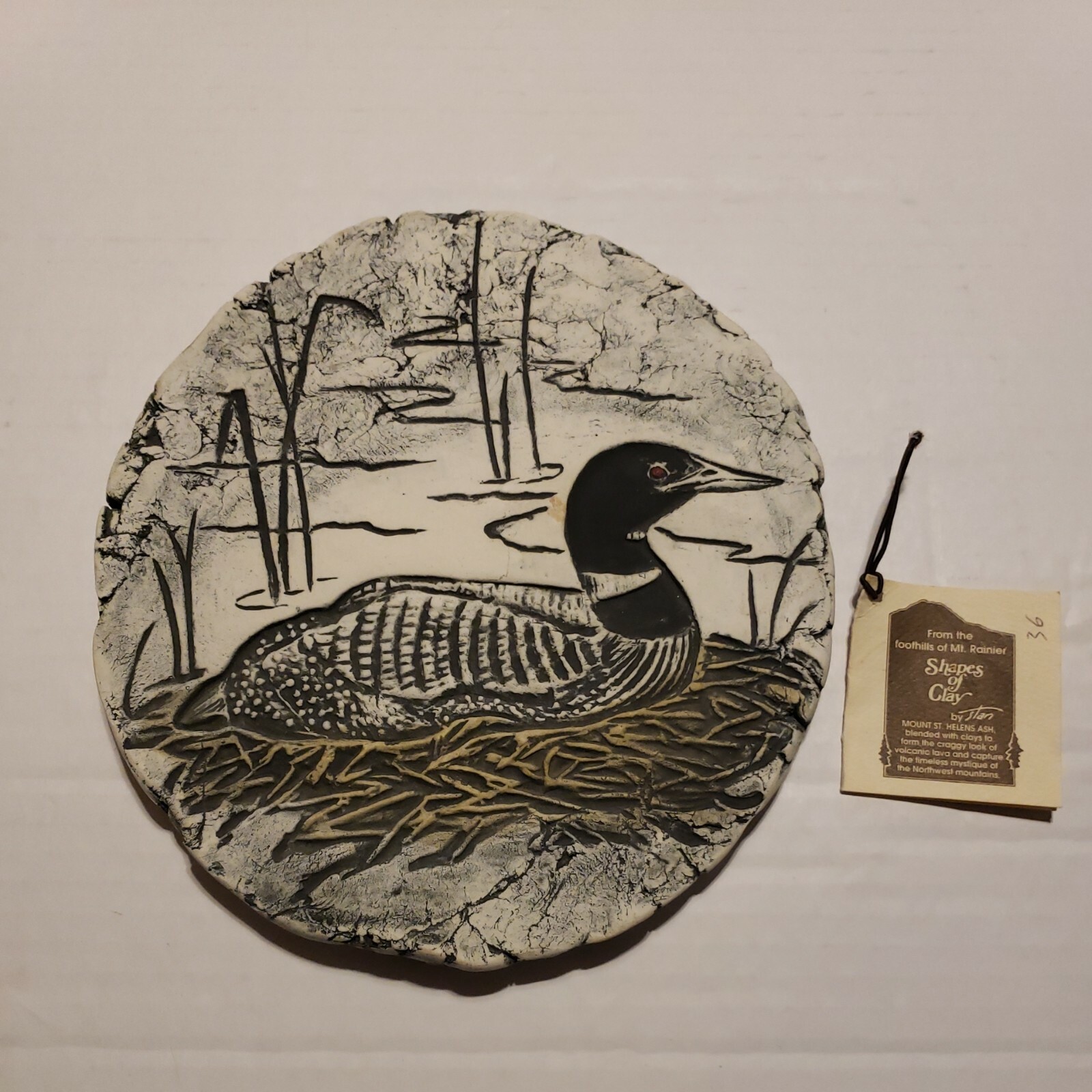 Shapes of Clay PLAQUE Waterfowl Loon Duck, Mt St Helens Ash, NOS | eBay