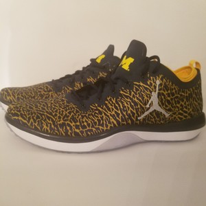 jordan trainer 1 low michigan