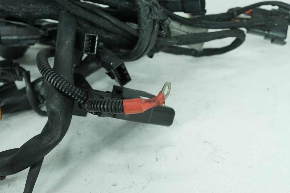 Harley Sportster XL1200 C 2005 personalizada OEM cableado principal arnés telar 70139-05 Foto 4 de 4