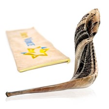 Holy Voice Kosher Ram Shofar Horn from Israel   14"-16" Musical Horn