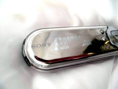 SONY WALKMAN NW-E505 Portable Audio Player