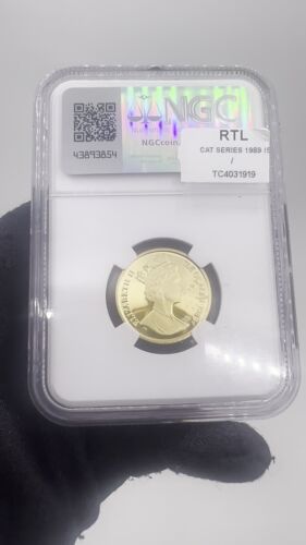 Cat Series 1989 ISLE OF MAN G1/5C Persian MS 69 1/5 oz Gold - Video 1 of 1