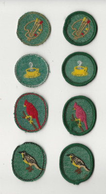 GS patch x 8 / '' NO BORDERS '' - GIRL Boy Scout BSA GnW/1-2