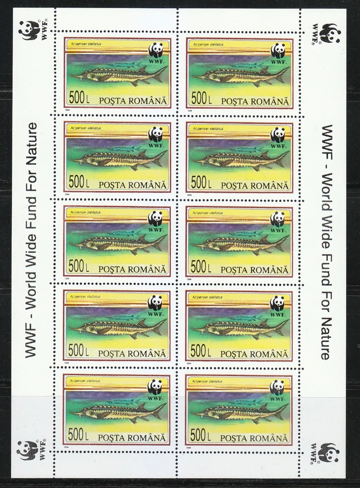 Rumanía 1994 MNH Sc 3954-3957 Mi 5034-5037 Esturión. Peces. WWF. Juego de KLB ** Foto 4 de 4