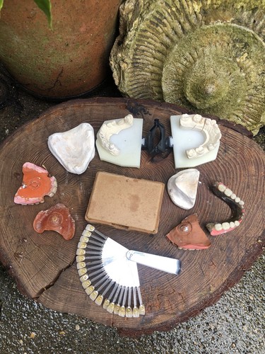 Vintage Dental lot inc dentures false teeth moulds tooth chart old box plaque - Picture 3 of 17