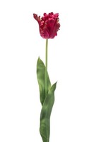 artplants Kunstblume Papageientulpe Lunia, Pink, 70Cm