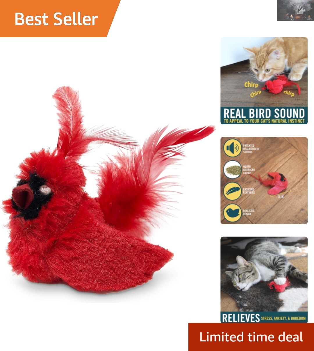 Real Birds Cat Toy with Feather Design & Catnip, Ultimate Indoor Stimulation