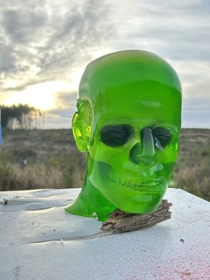 Zombie Ballistic Gel Target with Blue Brains
