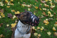 Light Leather Dog Muzzle for English Bull Terrier and other similar snout