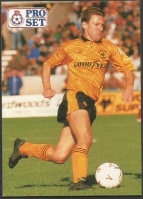 PRO SET 1990/91 - #224 - WOLVERHAMPTON WANDERERS - WBA - ROBERT DENNISON