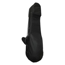Hard Case for Persian Tar