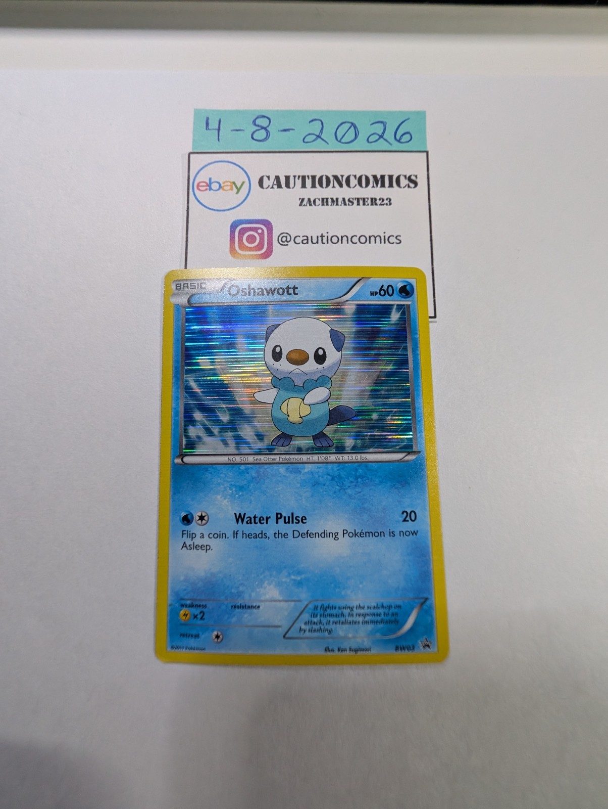 Oshawott BW03 Holo Black Star Promo Pokemon Card (PB5)