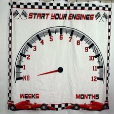 Baby Monthly Milestones Blanket , Race Car Theme Photo Background 37  X 37  