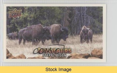 2015 Upper Deck Dinosaurs Canvas Mini Steppe Bison #138 READ 0e3