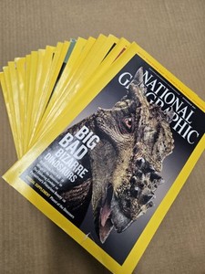 Set of 17 collection of National Geographic magazines with various cover stories