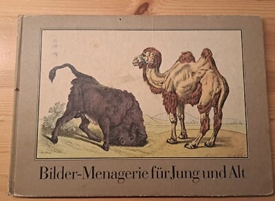 Tierschau-Bilderbuch HC GF quer BILDER-MENAGERIE FÜR JUNG UND ALT KBV 1985 Z 2 - Bild 1 von 4