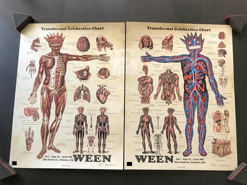Emek WEEN Atlanta Transdermal Celebration Chart #/100 Gig Art Print Poster Set - Picture 2 of 13