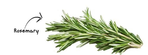 Olio Essenziale Rosmarino Puro Rosmarinus Officinalis Distillato Non Tagliato Naturale - Foto 3 di 30