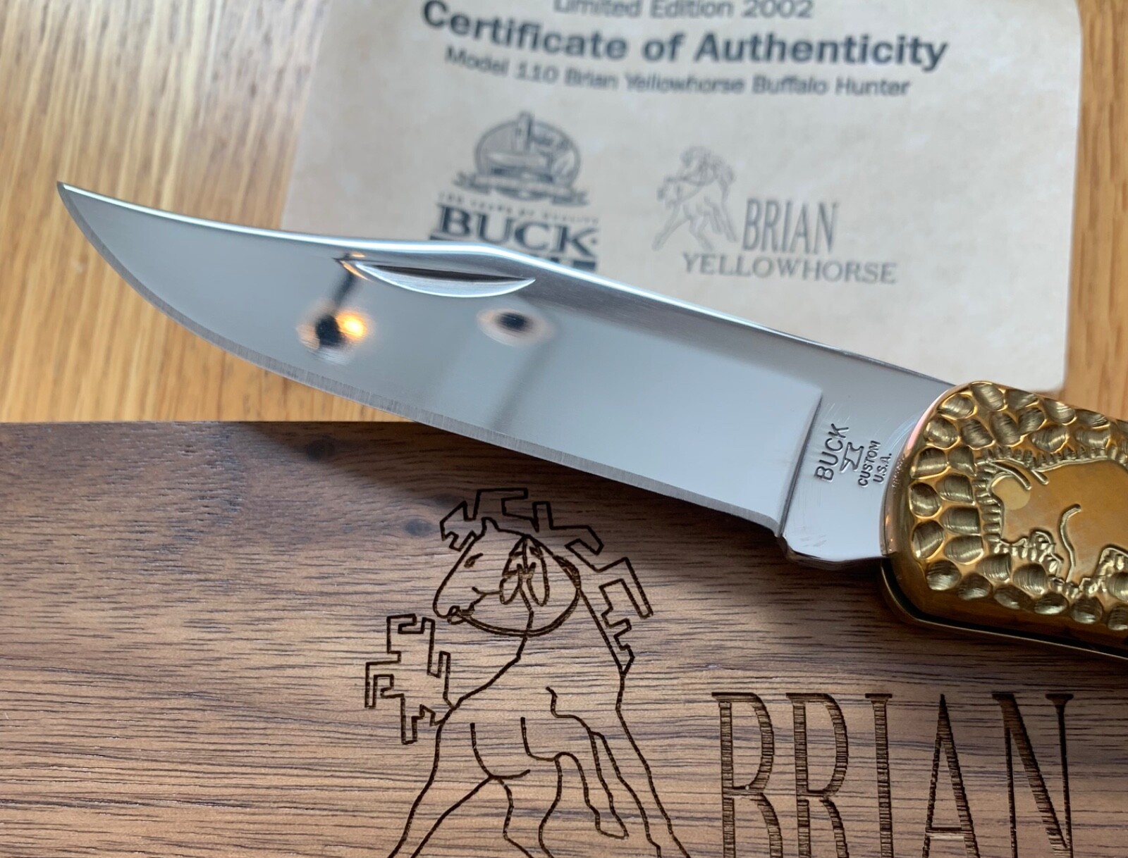 BUCK BRIAN YELLOWHORSE BUFFALO HUNTER 110 KNIFE NEVER USED IN BOX N22 ...