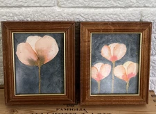 2 Original Watercolor Painting's Abstract Floral Painting Art Framed