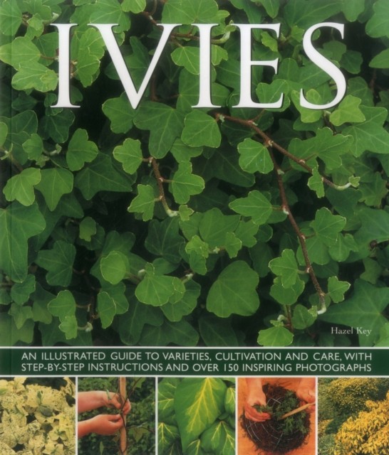 Ivies by Key Hazel (Paperback Book)
