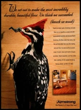 1998 Armstrong Flooring - Woodpecker Bird - Vintage Print Ad