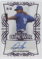 2021 Leaf Trinity Clear Auto Purple 20/25 Orelvis Martinez #CA-OM1 Auto he0