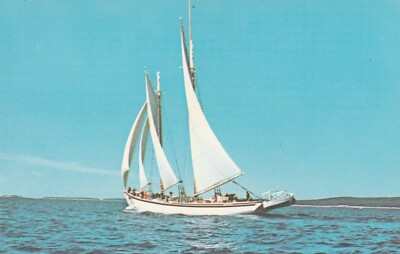 Captain Jim Sharp's Adventure from Camden Maine Windjammer Boat postcard