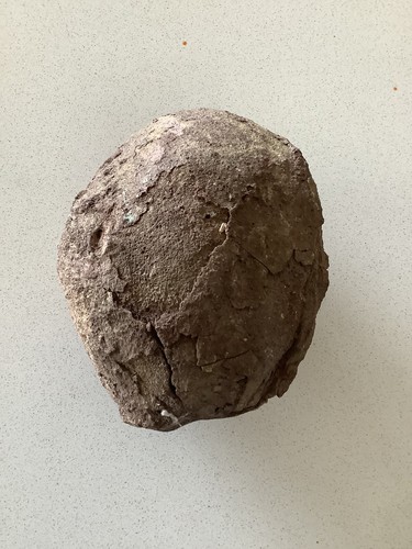 Olivine Volcanic Bomb (1.6 kilos) - Picture 2 of 6