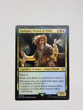 Radagast, Wizard of Wilds Commander: The Lord of the Rings MTG